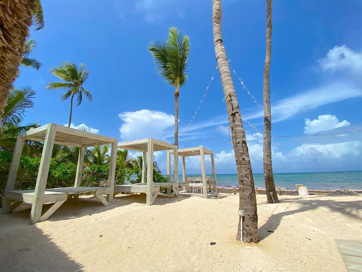 Deluxe Suites Chateau Del Mar - Swimming Pool And Jacuzzi - Bavaro Beach 蓬塔卡纳 公寓式酒店