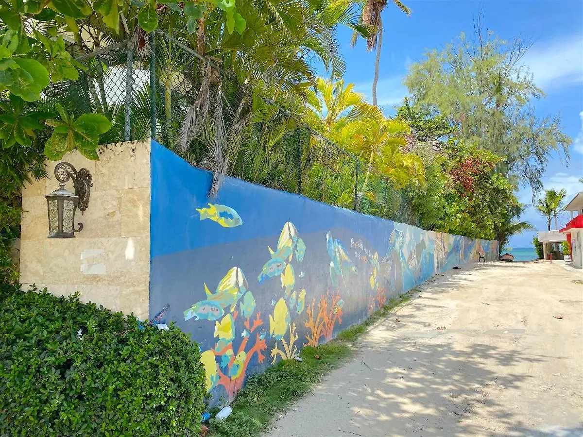 Deluxe Suites Chateau Del Mar - Swimming Pool And Jacuzzi - Bavaro Beachプンタ・カナ 4*,  ドミニカ共和国